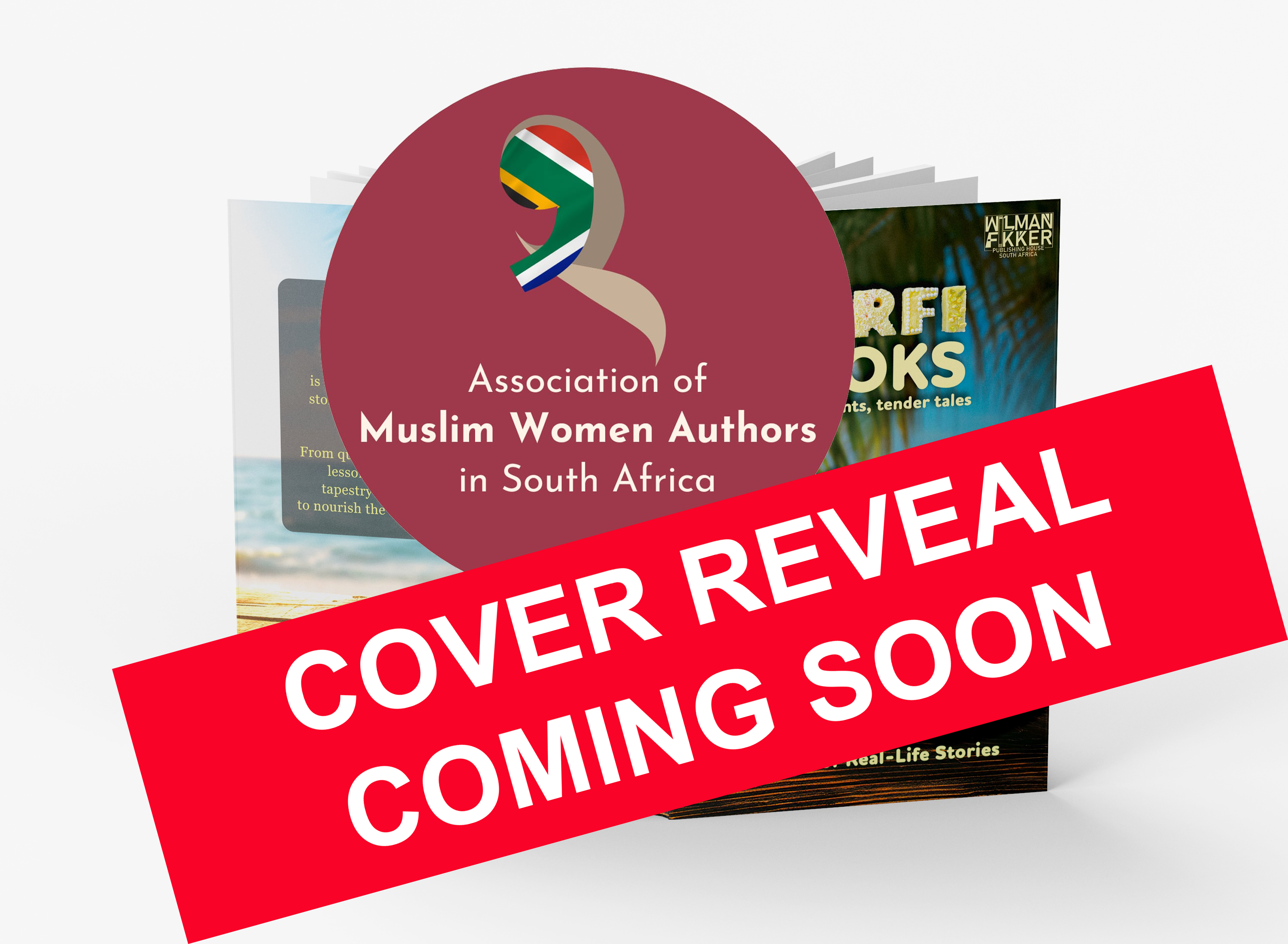 Cover of Barfi Books Volume 2 (Open)